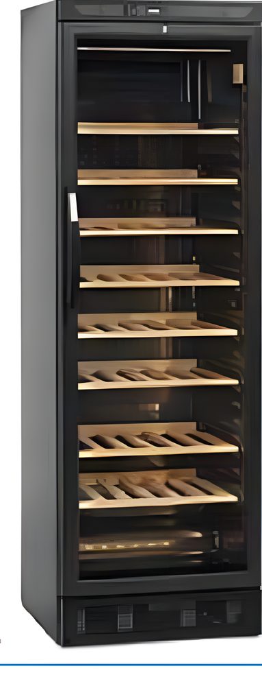 Armario para Vinos y Cavas Gama Wine BTV-450